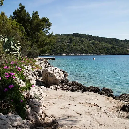 Klara 아파트 룸바르다